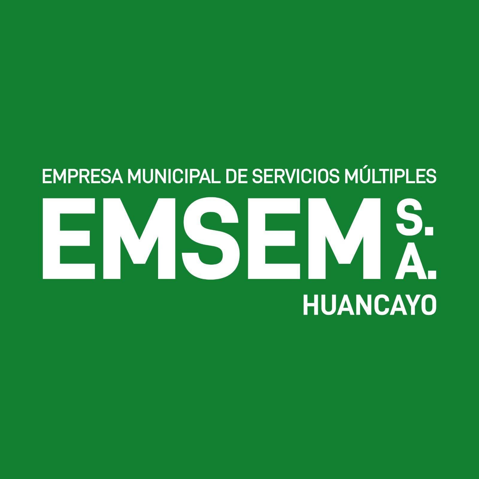 EMSEM Logo